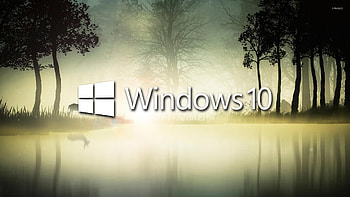 Windows 10 in the foggy forest HD wallpaper