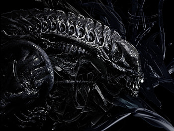 Cinema, Alien HD wallpaper