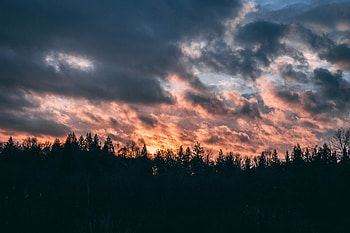 Trees, Sunset, Sky, Clouds, Dark HD wallpaper