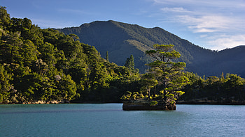 Nature, Mountains, Sea, Rock, Wood, Tree, Stone, Island HD wallpaper