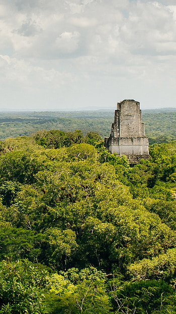 Tikal National Park, Rainforest ruins, Guatemalan wonders, Windows 10 spotlight HD phone wallpaper