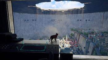 stray 19, video game, Stray HD wallpaper