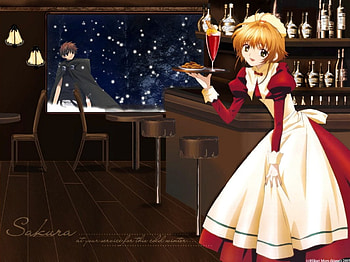 Tsubasa chronicle, syaoran, snow, sakura HD wallpaper