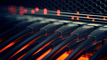 Network Cables, tech, cables, cable, server, electronics, network HD wallpaper