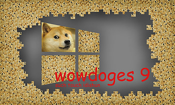 Doge Meme </b HD wallpaper