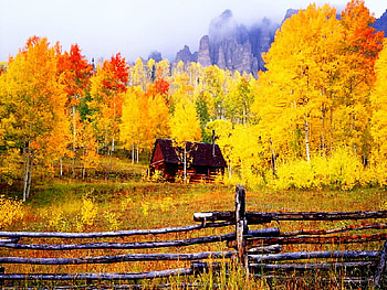 The season of gold, colorful, slope, house, fall, gold, lonely, mountain, cabin, season, leaves, fence, trees, autumn, nature HD wallpaper