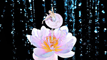Ballerina, dancer, art, girl, beautiful, woman, digital, fantasy, pretty, flower, JCArts, female HD wallpaper