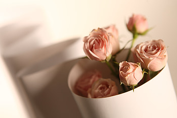 Roses, bouquet, graphy, beauty, nice, rose, flower, , white, elegantly, beautiful, gently, still life, pink, pretty, cool, flowers, lovely, harmony HD wallpaper