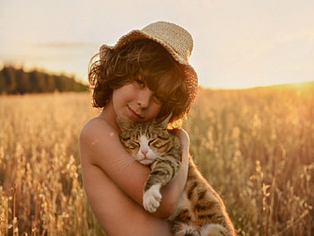 ~ Best Friends ~, Field, cat, Boy, Child HD wallpaper