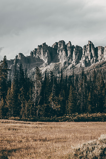 Nature, Trees, Grass, Mountains, Rocks, Relief HD phone wallpaper