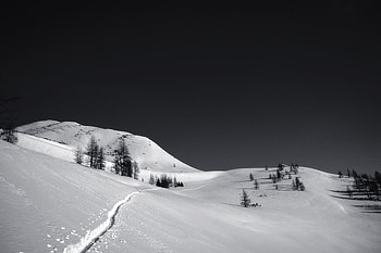 Winter, landscape, nature, white HD wallpaper