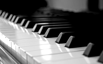 Melodic brilliance, Musical elegance, Captivating performances, Artistic expressions HD wallpaper