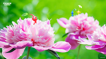 Pikmin HD wallpaper