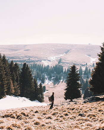 Nature, Trees, Journey, Hills, Tourist HD phone wallpaper