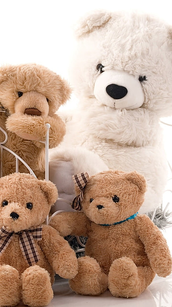 Teddy Bear Ke, Teddy Bear, Family HD phone wallpaper