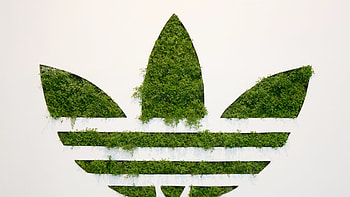 Adidas Grass Logo, adidas, logo, grass HD wallpaper