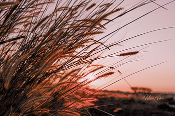 Sunrise, drawlake64, deadedger50, coughrange19, drugplier9, dancemaria9, effectalley61, eventcamera46, europecourt4, energyjuly09, CplOZ883, DottieandMelvin, dropgear3, deorquidea HD wallpaper