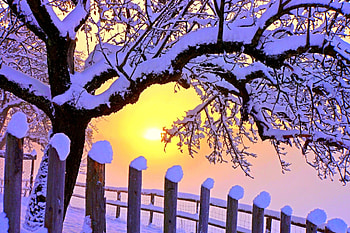 SNOW at SUNSET, winter, holidays, graphy, sunsets, attractions in dreams, colors, beautiful, creative pre-made, landscapes, love four seasons, snow, trees, nature, lovely HD wallpaper