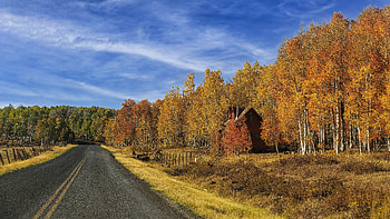 Sky, , Fall, Cloud, Forest, House, Road HD wallpaper