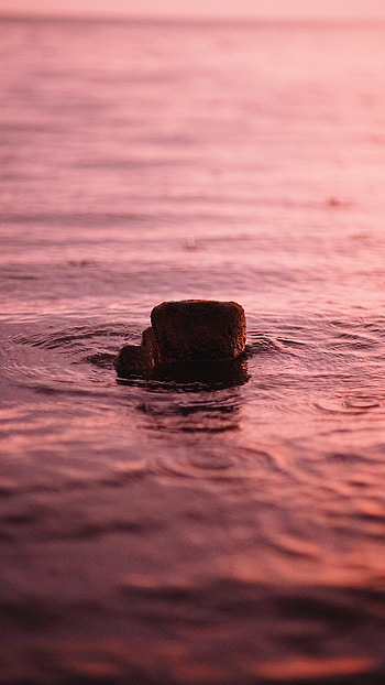 Nature, Water, Rock, Ripples, Ripple, Surface, Wavy, Stone HD phone wallpaper