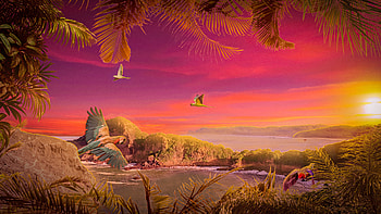 Parrots in tropics, Tropical, Jungle HD wallpaper