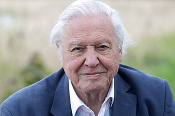 Prehistoric Planet, David Attenborough, Release date, Documentary HD wallpaper