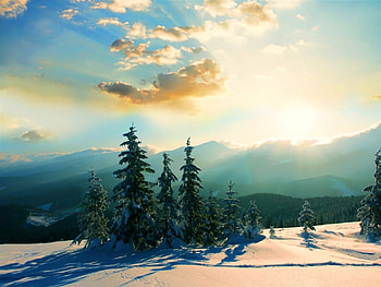 Beautiful Winter Scenery, Winter, Sun, Snow, Trees HD wallpaper