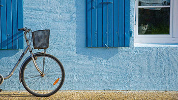 cat at window of blue house, blue, bicycle, window, house, cat HD wallpaper