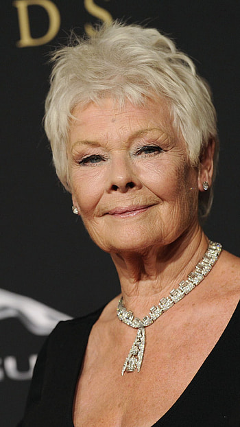 Judi Dench, Movies, , Backgrounds HD phone wallpaper