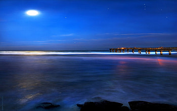 blue moonblue world, blue, world, moon HD wallpaper