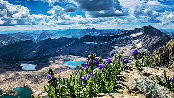 Maroon Bells-Snowmass Wilderness, Colorado, lakes, landscape, clouds, trees, flowers, sky, usa HD wallpaper