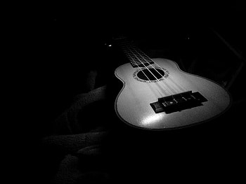 Ukulele tunes, Musical melodies, Strumming strings, Harmonious rhythms HD wallpaper