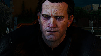 The Witcher 3 Dettlaff van der Eretein, The Witcher 3: Wild Hunt HD wallpaper