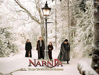 The Chronicles of Narnia, wardrobe, movie, lion, narnia, witch HD wallpaper