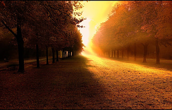 Landscape, Nature HD wallpaper