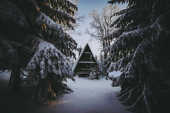 Winter, Nature, Snow, Forest, Small House, Lodge, Coziness, Comfort HD wallpaper