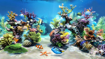 3D Live s For PC HD wallpaper