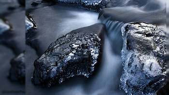 Aquarium Live For Laptop : Live for HD wallpaper