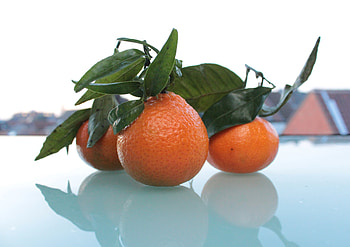 Fruits, Food, Tangerines, Citrus HD wallpaper