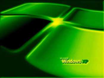 windows xp, tree HD wallpaper