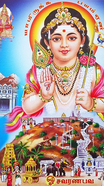 Murugan, tamil god, god, bhakti HD phone wallpaper