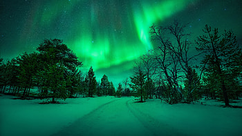 Aurora, winter, night, sky HD wallpaper