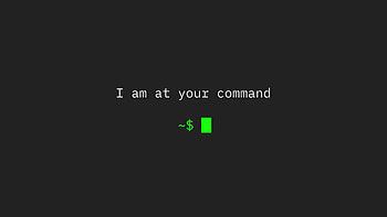 I Am At Your Command, ubuntu, linux, terminal, hacker, computer HD wallpaper