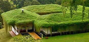 going green, green, house, goinggreen, different HD wallpaper