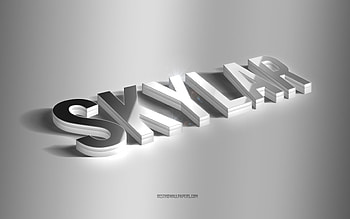 Skylar, silver 3d art, gray background, with names, Skylar name, Skylar greeting card, 3d art, with Skylar name HD wallpaper