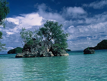 like a dream, sea, dream HD wallpaper