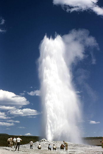 Old Faithful geyser, Wikipedia information HD phone wallpaper