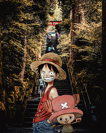 Luffy and choppy, chopper, One piece HD phone wallpaper