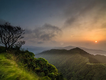 Our Planet, trees, amazing, mountains, sunset HD wallpaper