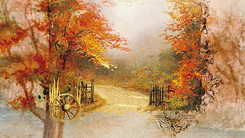 Fall Collage 29, wheel, path, fall, collage, lane, fence, trees, autumn, road HD wallpaper